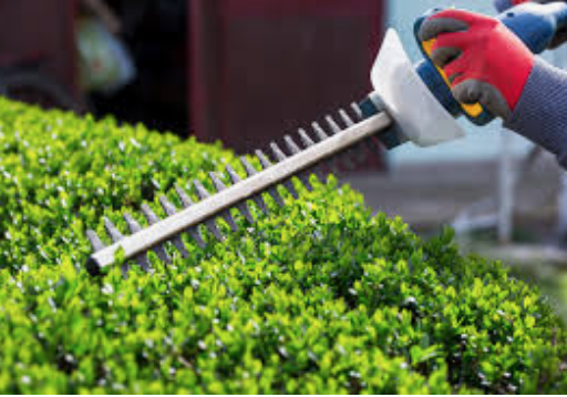 Trim the hedge