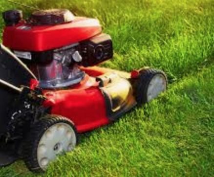 Mow the lawn (large)