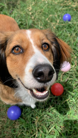 WhatsApp Image 2024-12-08 at 20.10.31 (2)