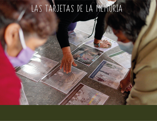 Página 5 CAA 3 Tarjetas de la memoria 1