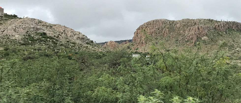 IMG_4284.jpeg