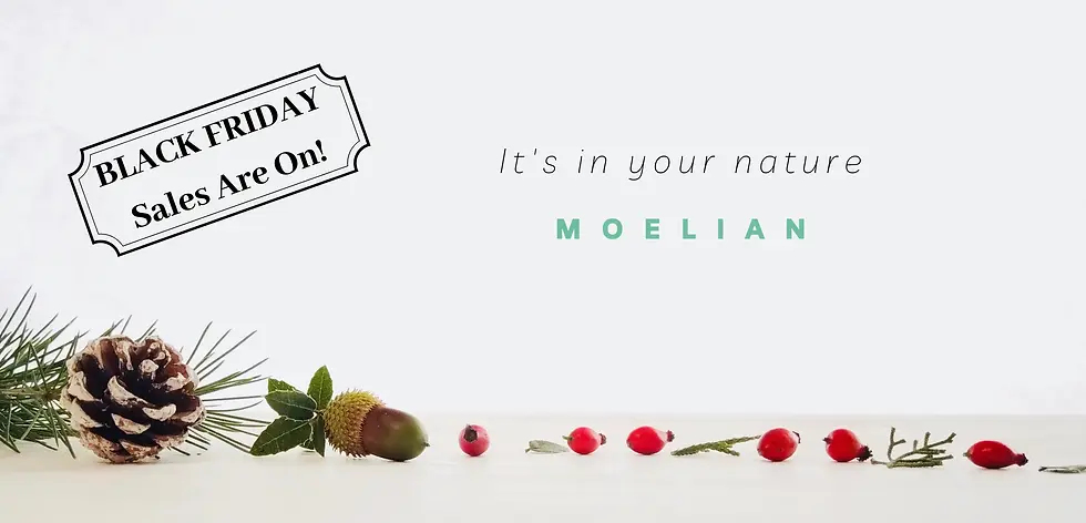 Moelian Shop Black Friday Sales