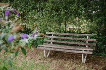 garden scene at Bilawi with old wooden seat amongst the trees