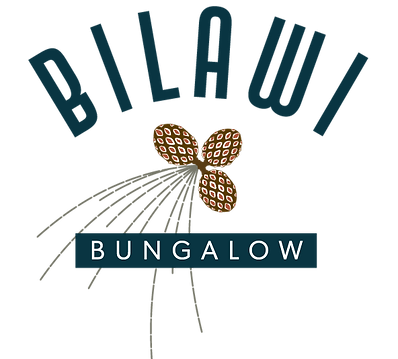 Logo with Bilawi Bungalow text surrounding three casuarina pods and needle leaves.