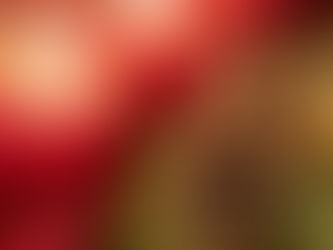 Episode 3: Building Family Through Traditions?