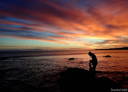 sunrisesnorkel.jpg