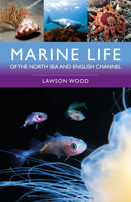 Marine Life of the North Sea book
