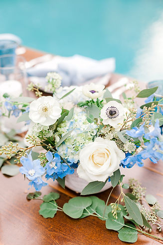 Megan Mullins Photography