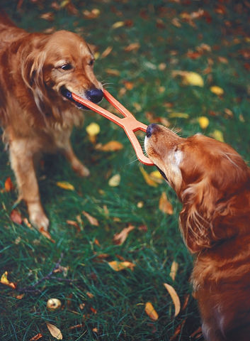Tug%20of%20War_edited.jpg
