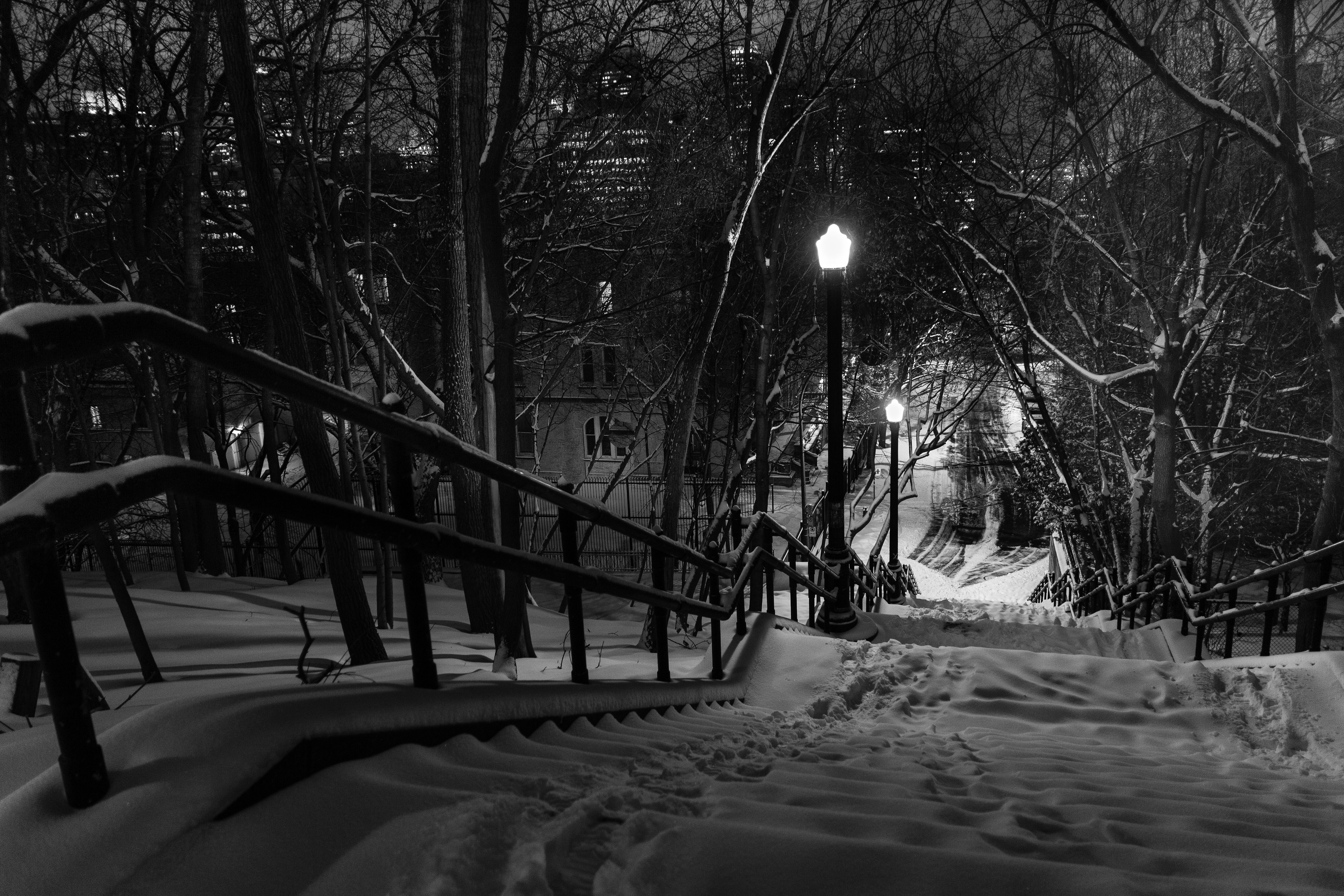 Passage nocturne, avenue du Musée, n° 1