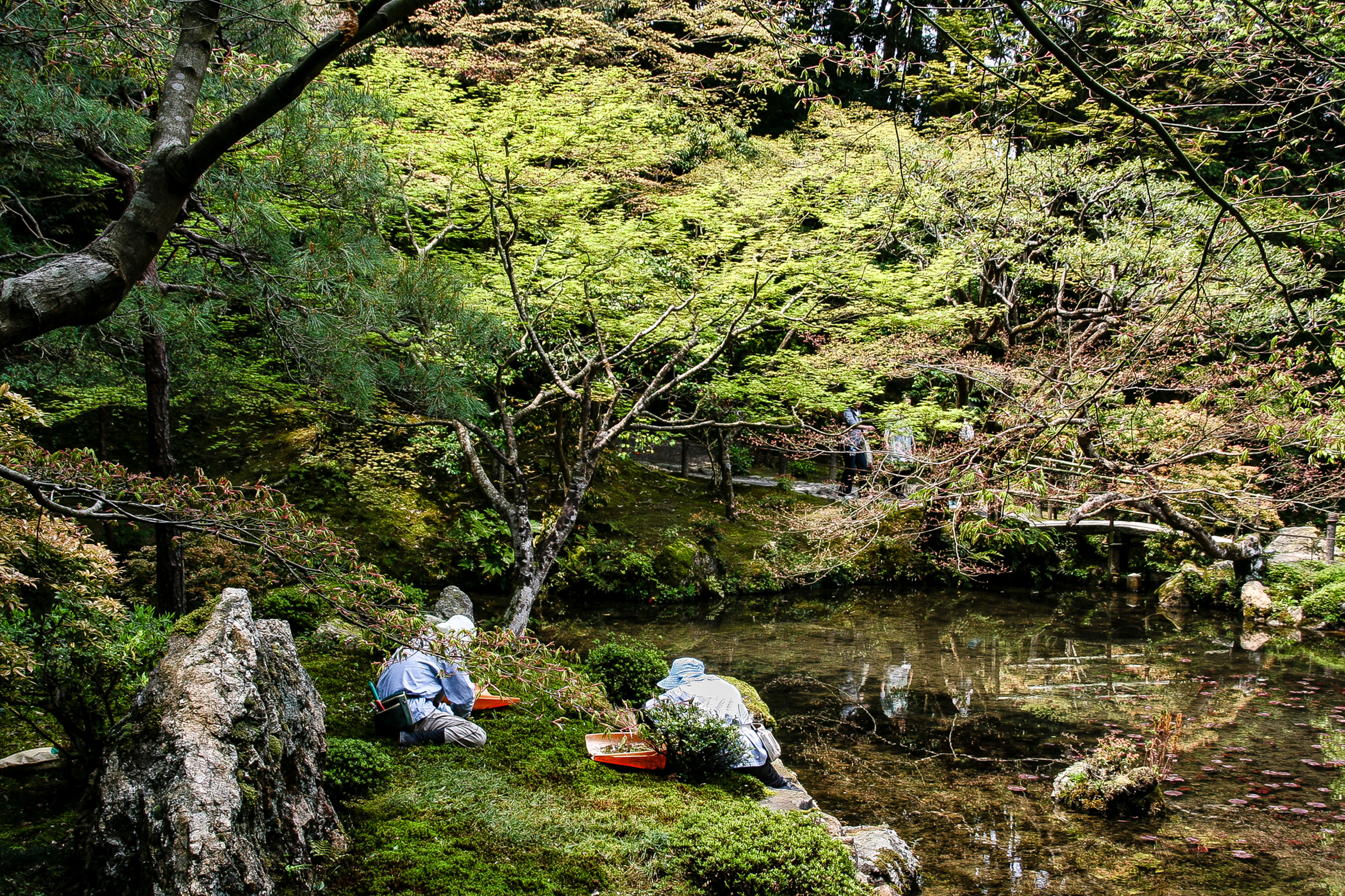 Temple Gardens, Kyoto