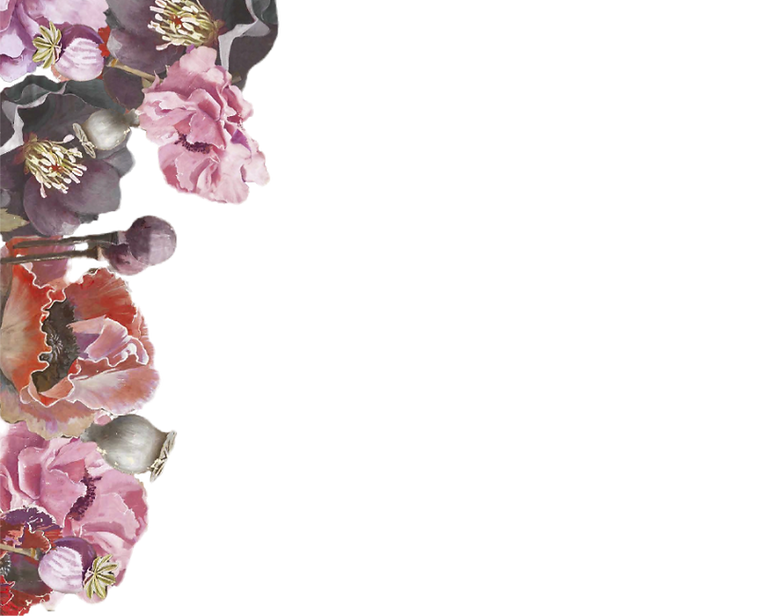 Element 1-100_edited_edited_edited_edited.png