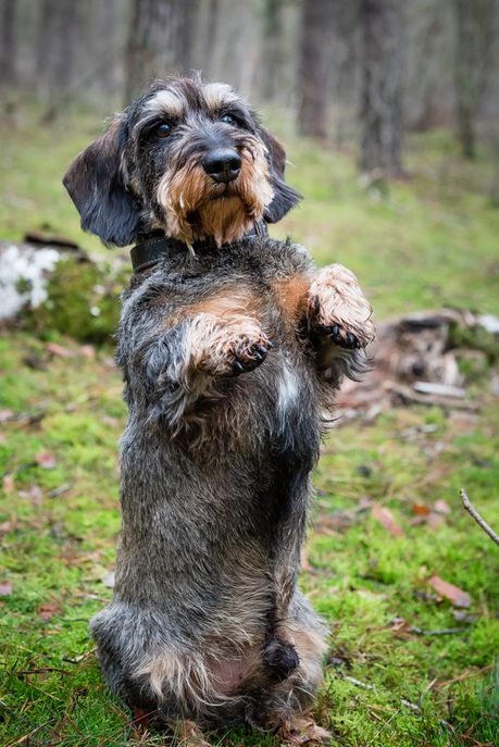 Oscar-4374.jpg