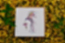 fullsizeoutput_2c72.jpeg