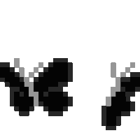 butterflies-butter.gif