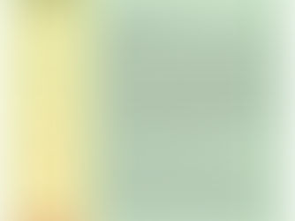 End of the Year Newsletter!