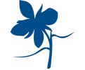 Logo sem fundo.png