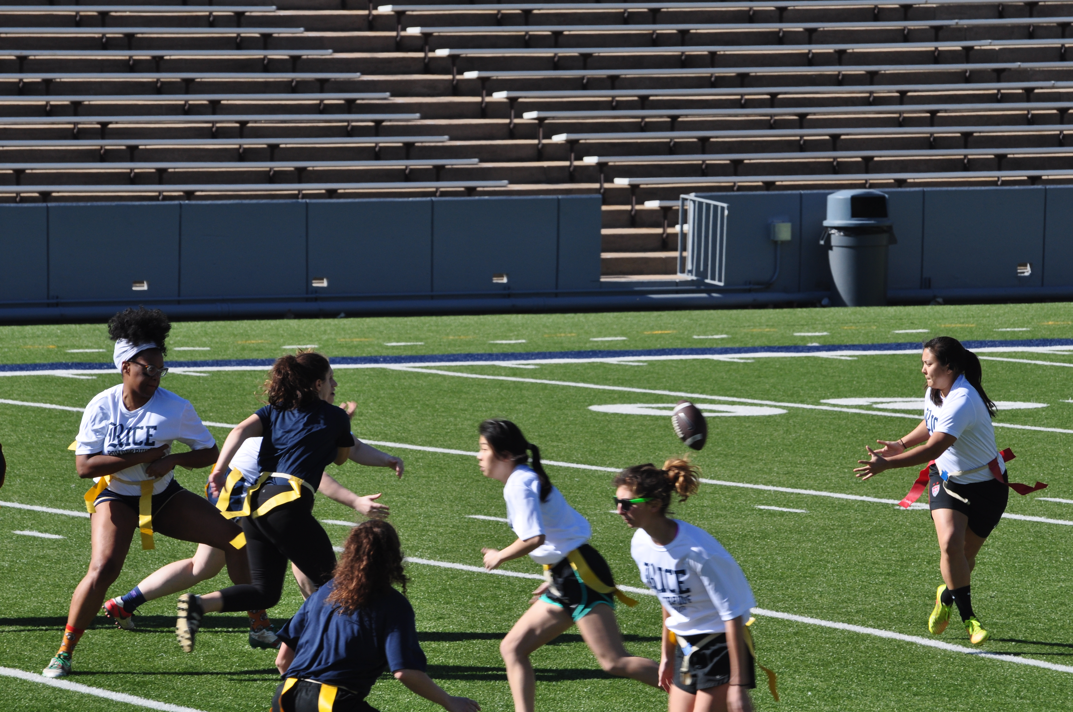 rice powderpuff