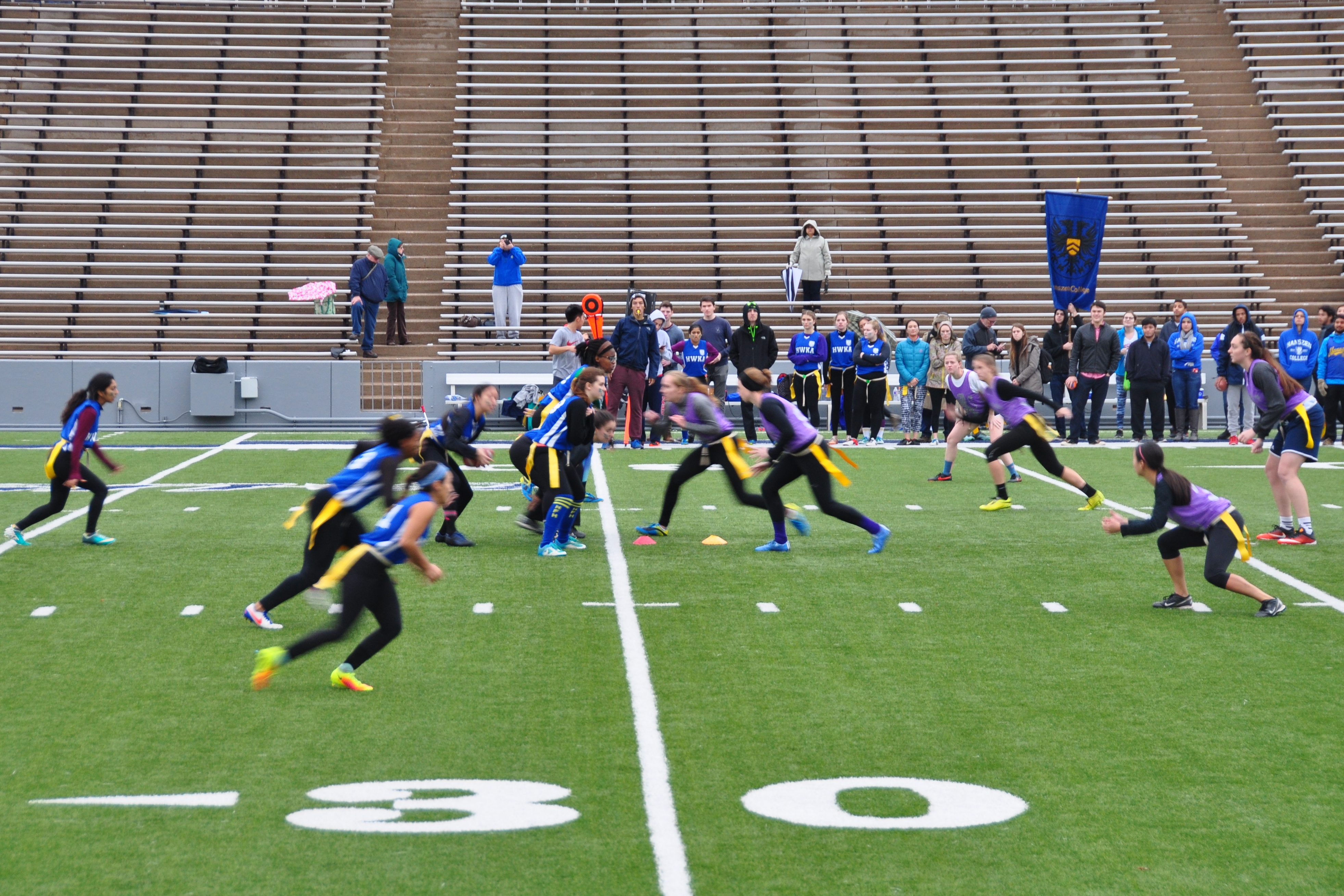 rice powderpuff