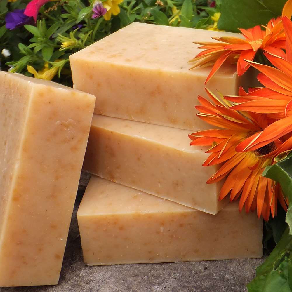 Ez Soap