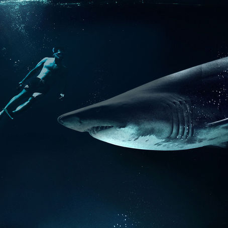 Sleeping While Swimming: Through Hypnosis