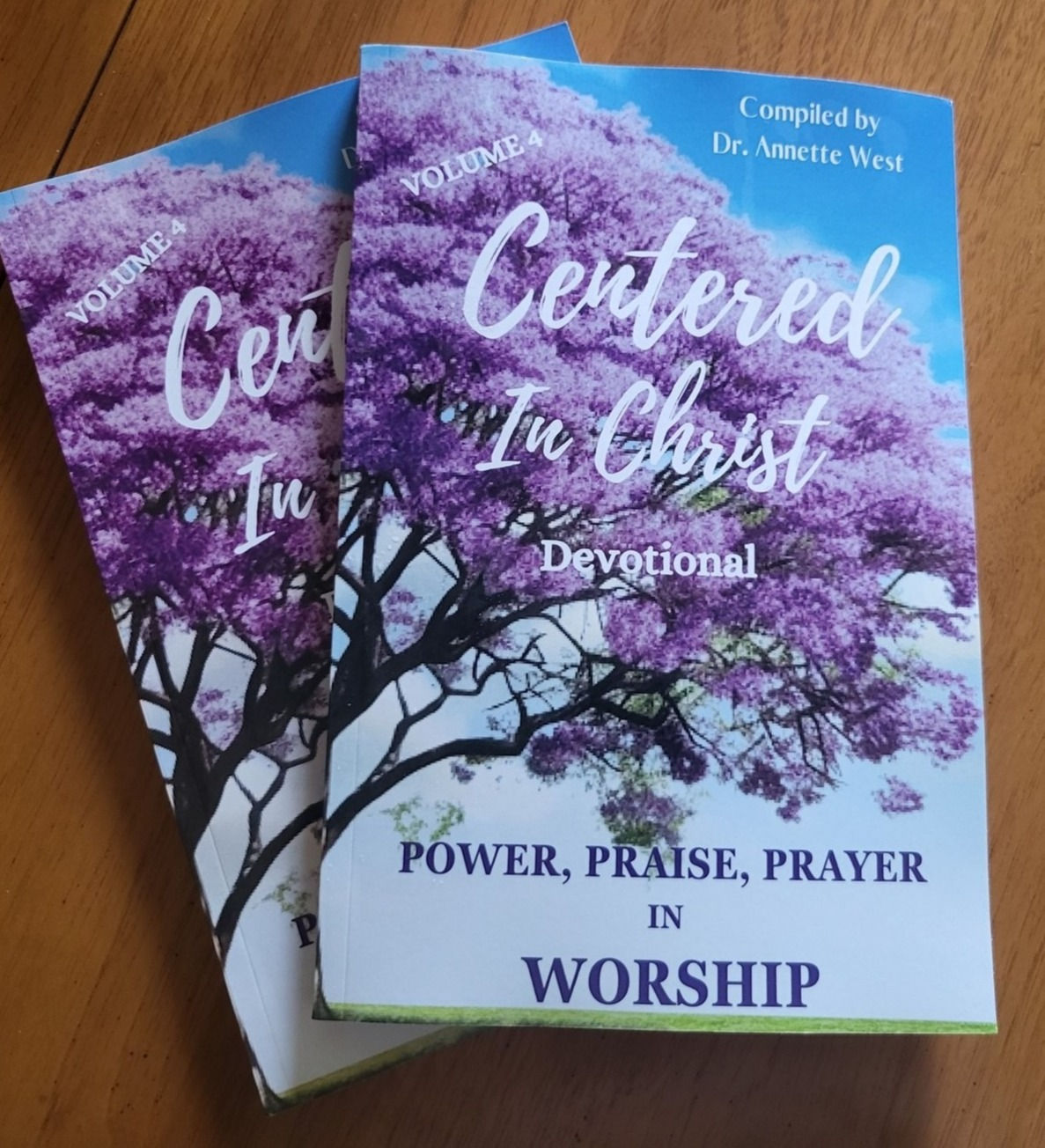 Centered in Christ Power Praise Prayer in Worship Devotional
