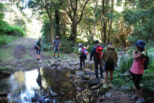 Creek crossing on way to Upper Portals, Mt Barney, Queensland, Australia
