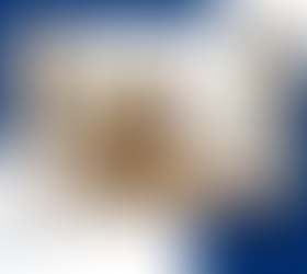 D. Thode & Associates branded template with an image of a woman in her kitchen unloading groceries from brown paper bags.