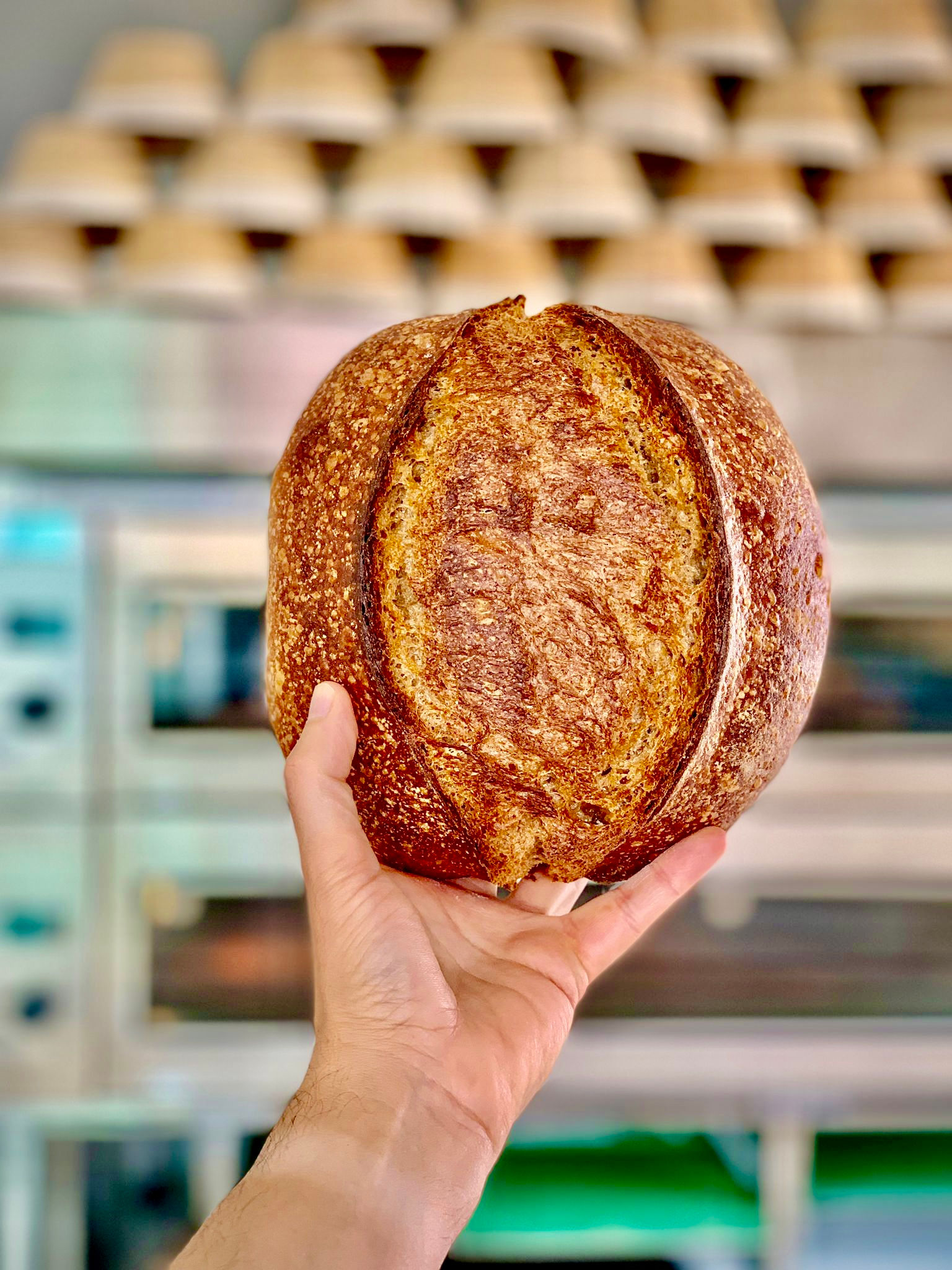 לחם בירה שחורה