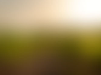 土地は、味になる。テロワールという考え方