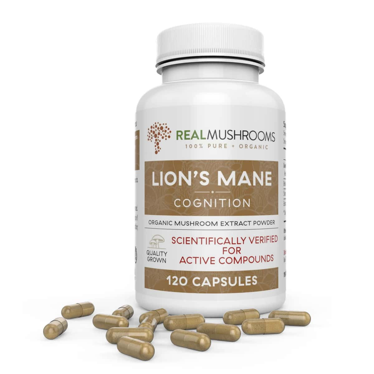 Lion's Mane Mushroom Extract Capsules from Real Mushrooms