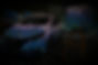 ShariArt_Vehicle-4-WS_edited.jpg