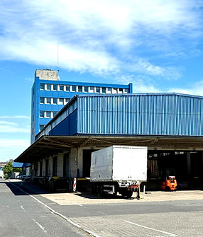 WhatsApp Image 2025-06-26 at 13.59_edited.jpg