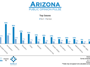 Arizona Political Climate: Division, Division, Division