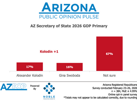 Wide-Open Down-Ballot Primaries with High Undecided Voters