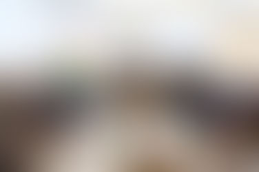 سەردان و بەسەركردنەوە