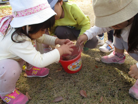 11月29日