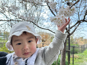 3月27日