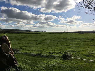 sanctuary-counselling-country-pic.jpg