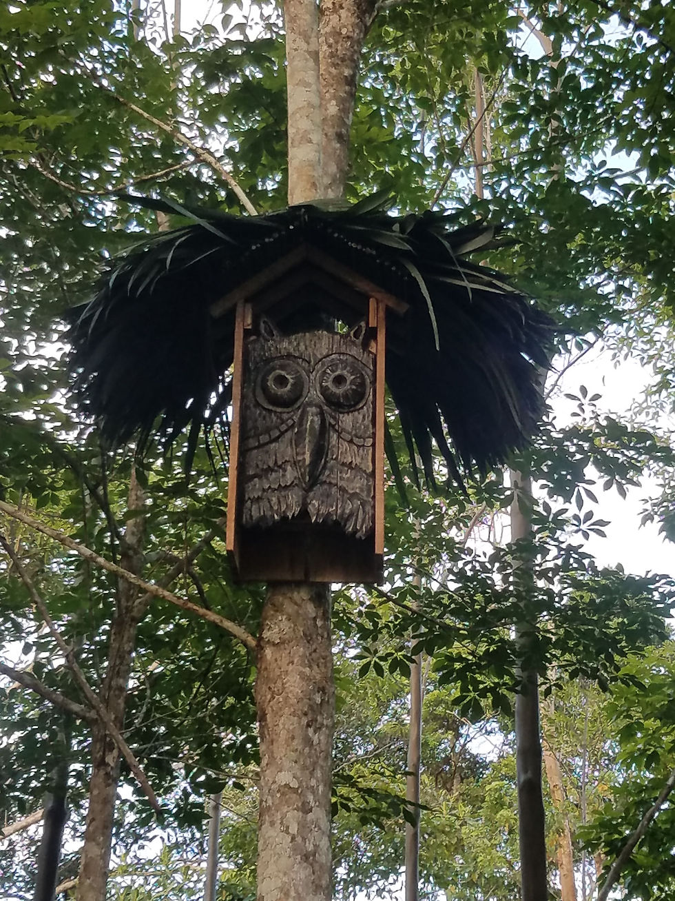 bat box upclose