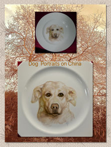 Dog portraits on China