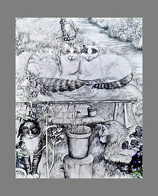 A drawing of five cats in the garden.