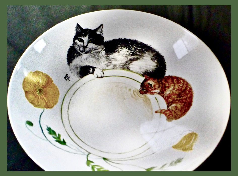 Cat and Kittens drinking milk