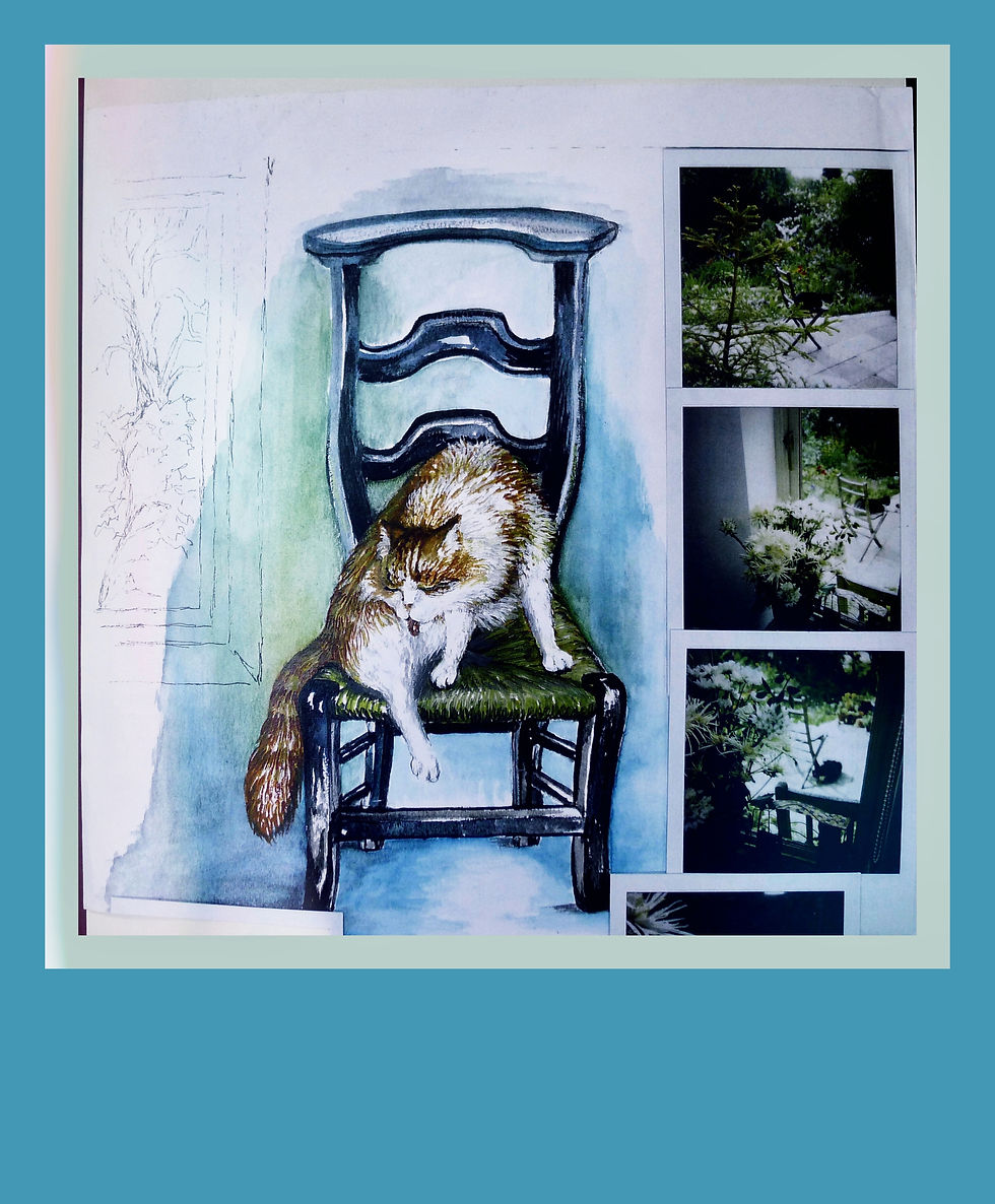 Nellie having a wash on a prayer chair.