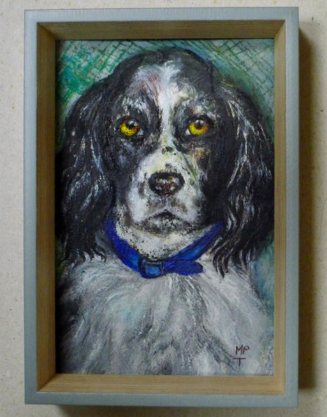 Ned at Christmas