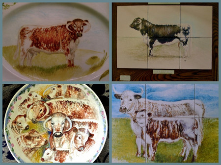 Longhorn Cattle