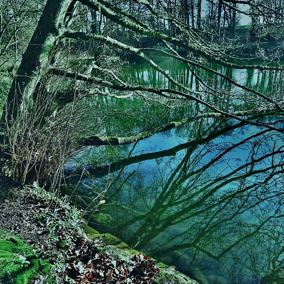 The Lake before dusk