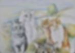 Cat's and the Wolds_