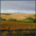 Harvest time August 2014