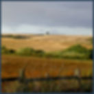 Harvest time August 2014